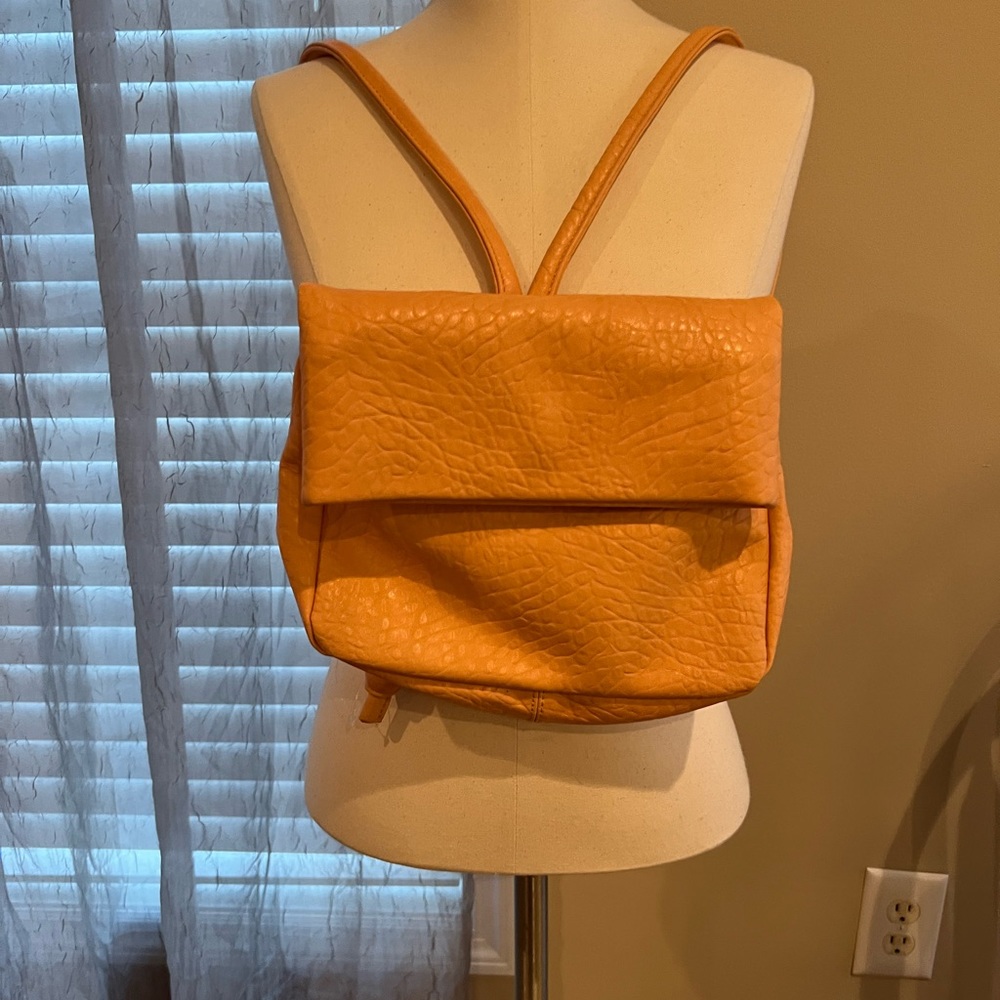 Remi & Reid vegan back pack purse.